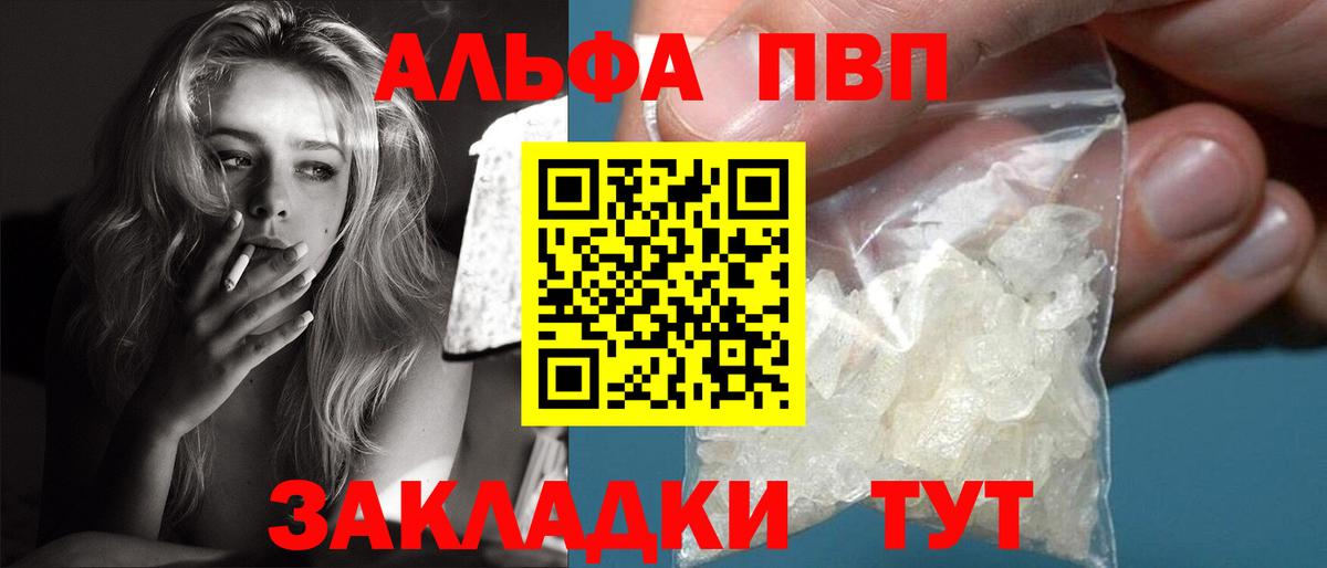 Альфа ПВП СК Гудермес