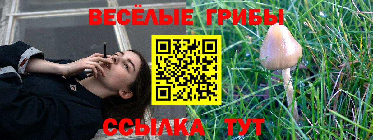 Псилоцибиновые грибы ЛСД  Вход с VPN  Гудермес 