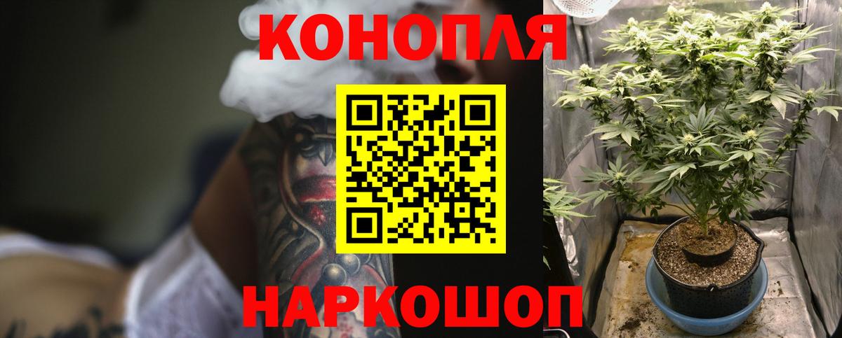 Бошки Шишки White Widow  Каннабис конопля  Бошки Шишки гибрид  Вход с VPN  МАРИХУАНА OG Kush  Гудермес 